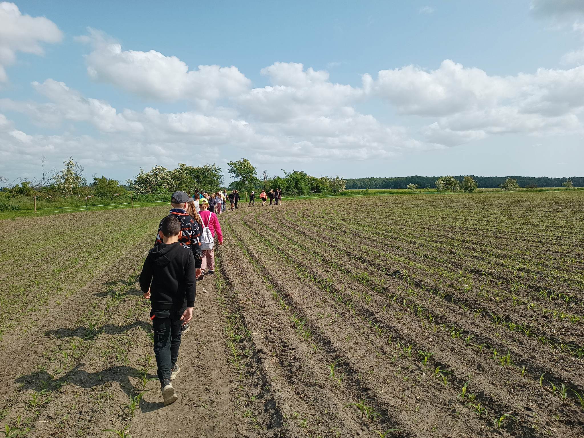 Zdjęcie z wydarzenia Biwak w Urbanowie pn. Sejdżio i jej bobry